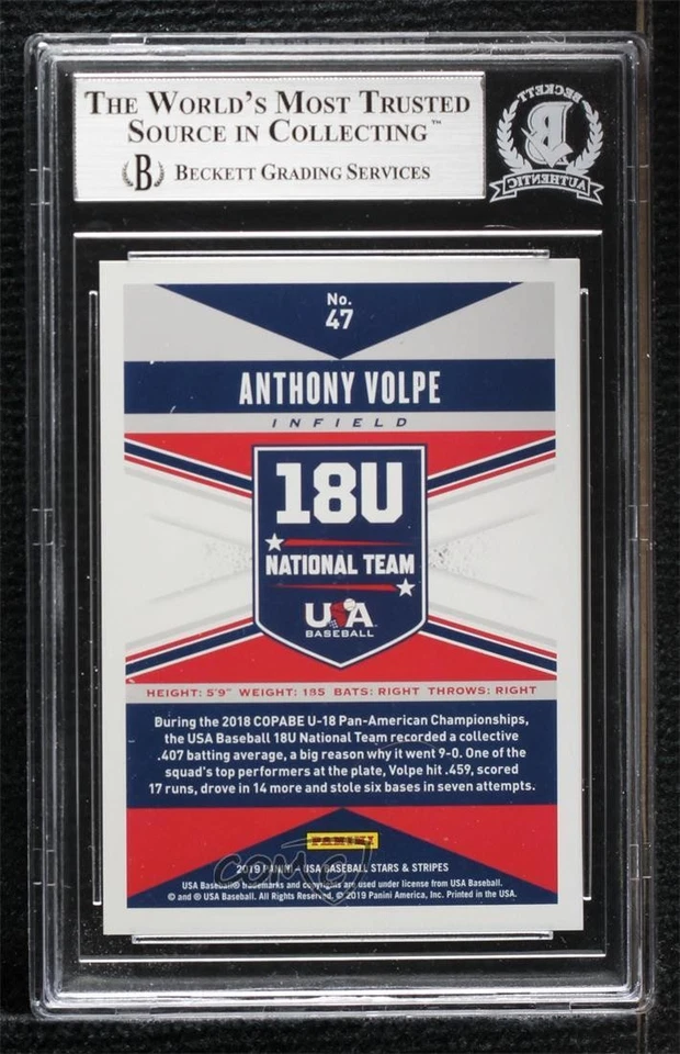 BAS 2019 Panini USA Baseball Stars & Stripes Anthony Volpe #47 BGS Authentic - Image 2 of 2
