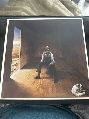 Don McLean - Homeless Brother - 1974 Vinyl LP - Gatefold -United Artists Records