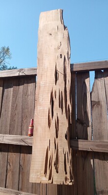 72'' LONG Quartersawn & Pecky REAL Sinker Cypress Craft Wood Underwater Recovered