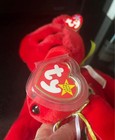 Ty Beanie Buddy & Beanie Baby Osito the Mexican Bear Lot W/TAGS  — photo 3