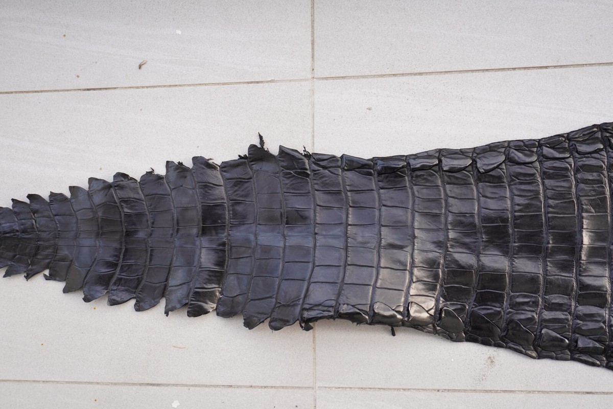 Black Genuine Crocodile Skin Leather Hide Exotic Pelt taxidermy