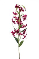 Artplants Tigerlilie KüNstlich Aramaio, Burgunderrot, 80Cm