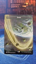 1 X Forest (244) (Borderless) Unfinity Regular
