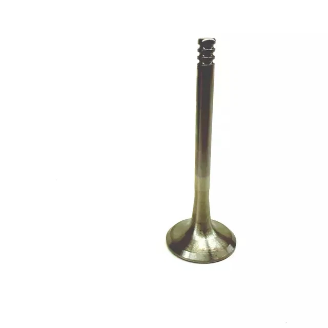 Válvula de escape original Volkswagen 048-109-611-B Foto 2 de 2