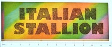 Original VINTAGE 1970s Heat Transfer  Italian Stallion Rainbow Glitter