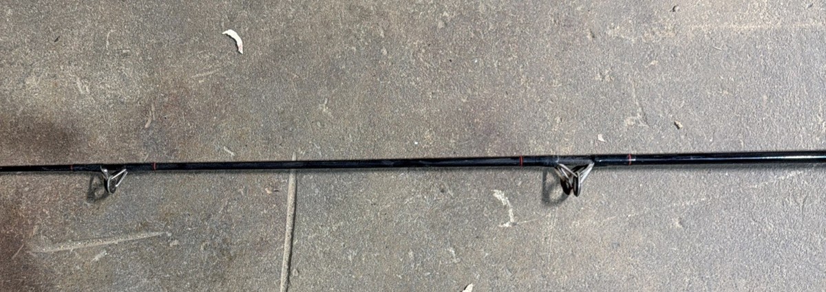 Daiwa Black Widow 9' Medium Heavy Rod BW902MHS-S 12-30lb | eBay