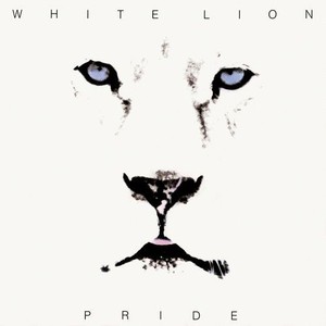 White Lion Pride | eBay