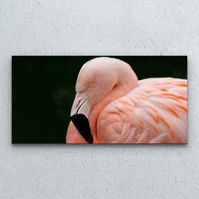 Glasbilder Wandbild Druck auf Glas Wohnzimmer 100x50 Flamingo Rosa Vogel