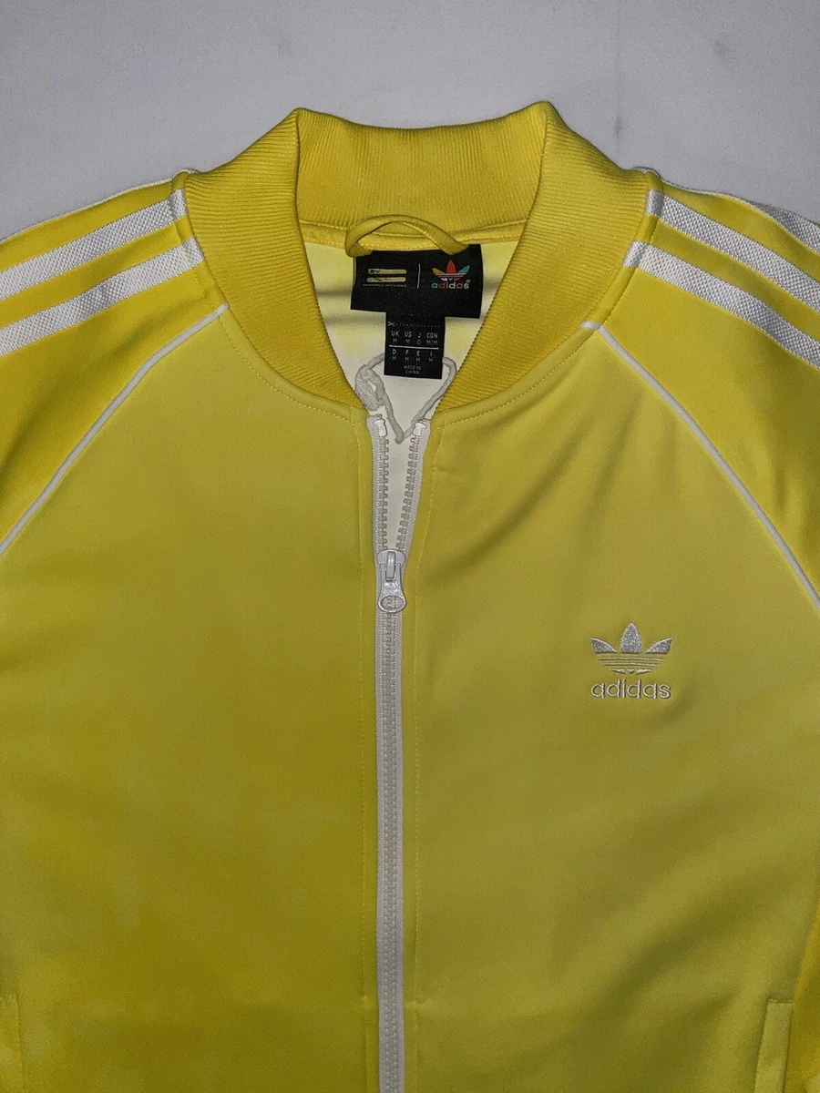 Adidas pharrell top williams veste