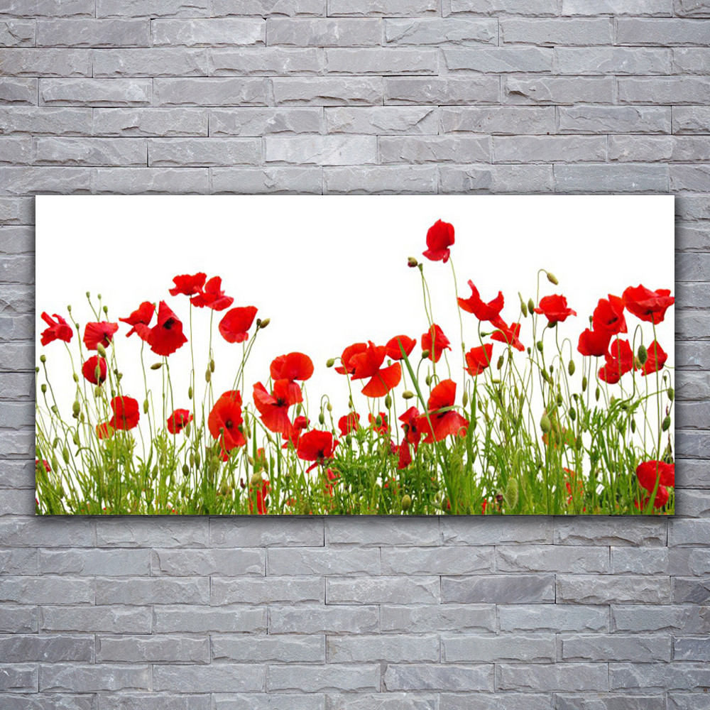 Tableau sur verre acrylique 120x60 Coquelicots Prairie Tulup décoration murale
