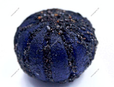 176.00 Ct Natural Uncut Blue Tanzanite Raw Rough CERTIFIED Loose Gemstone