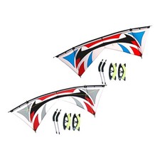 Großer Vierleiner-Sportdrachen, ideal für Parkbesuche, als