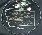 Vintage Souvenir State Trays #2 - 21 Trays some with Coasters - Disneyland CA — photo 7