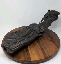 Stunning Piece Of Driftwood 21 In X 6 In Display Piece