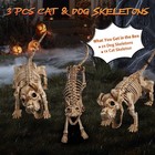 2 Pcs Dachshund Dog with 1 Pcs Cat Skeleton Halloween Spooky Decoration — photo 2