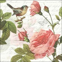 20 Papierservietten, Servietten Sophie Ambiente 33X33Cm | Rose, Vogel