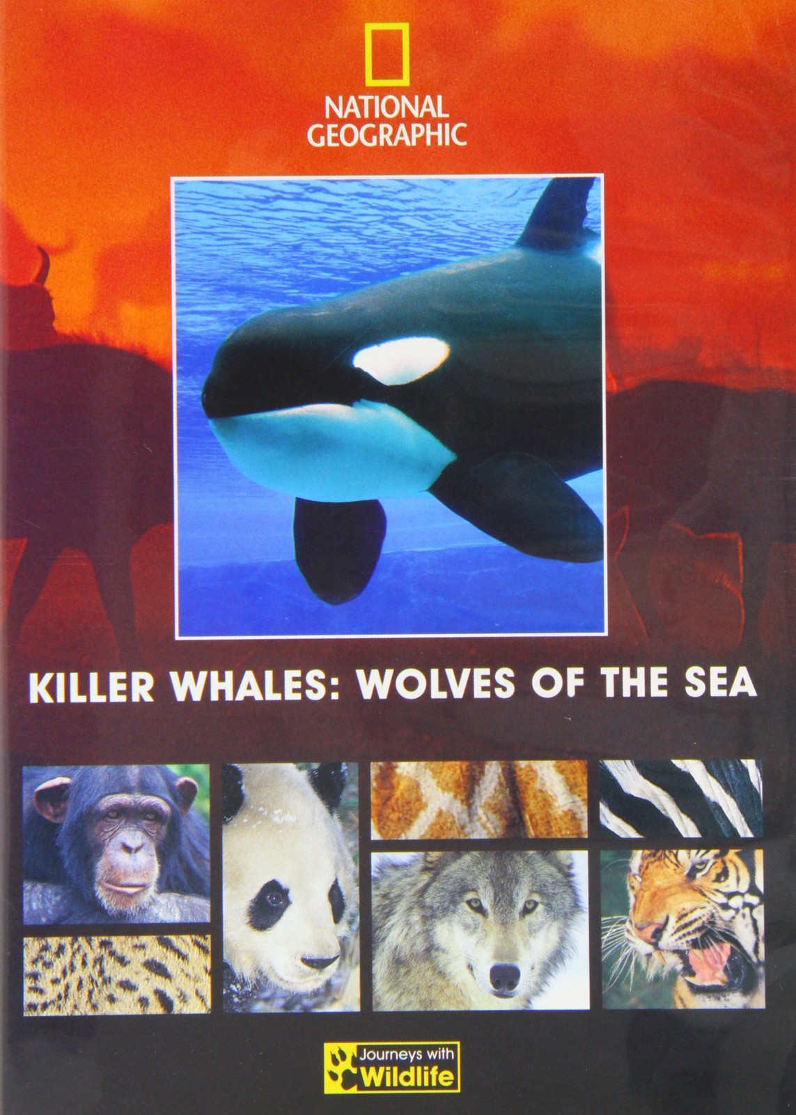 Killer Whales: Wolves Of The Sea (Journeys with Wildlife - 2) (Region 2) (DVD)
