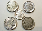 buffalo nickel five cent US coin collection