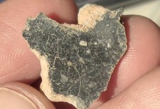 Moon Rock Meteorite NWA 11228- Own A Real Piece of The Moon- Lunar Meteorite