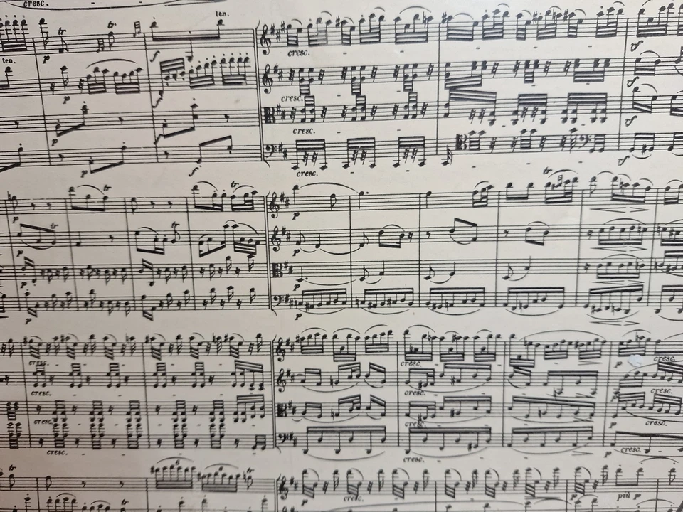 Rompecabezas Notas Musicales 1000 Piezas Piatnik Nuevo Precintado Foto 4 de 4