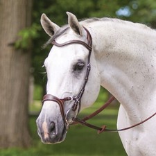 Premium Brown Leather English Horse Bridle with Tack Set Available all Sizes