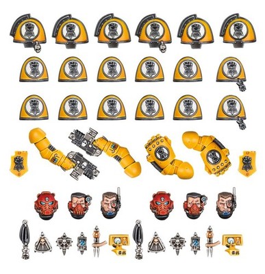 Imperial Fists: Primaris Upgrades + Transfers (55-26)