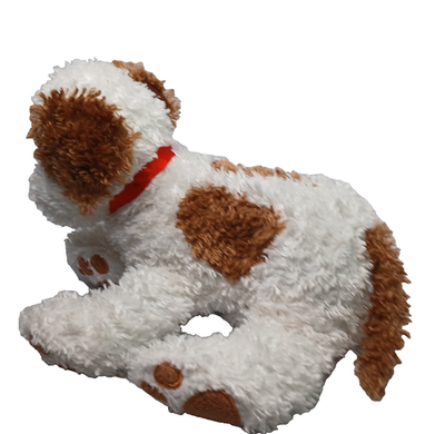 Raggedy Ann Puppy Dog Plush Kohls Cares Andy Rags Floppy White