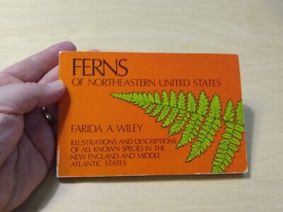 Ferns of Northeastern United States (Farida Wiley 1973 Cryptogams)