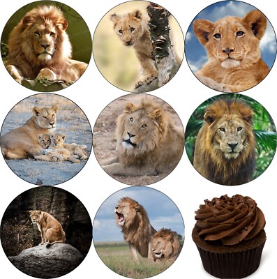Löwe Cub Tortenaufleger Party Deko essbar Geburtstag Feier Cupcake Baby