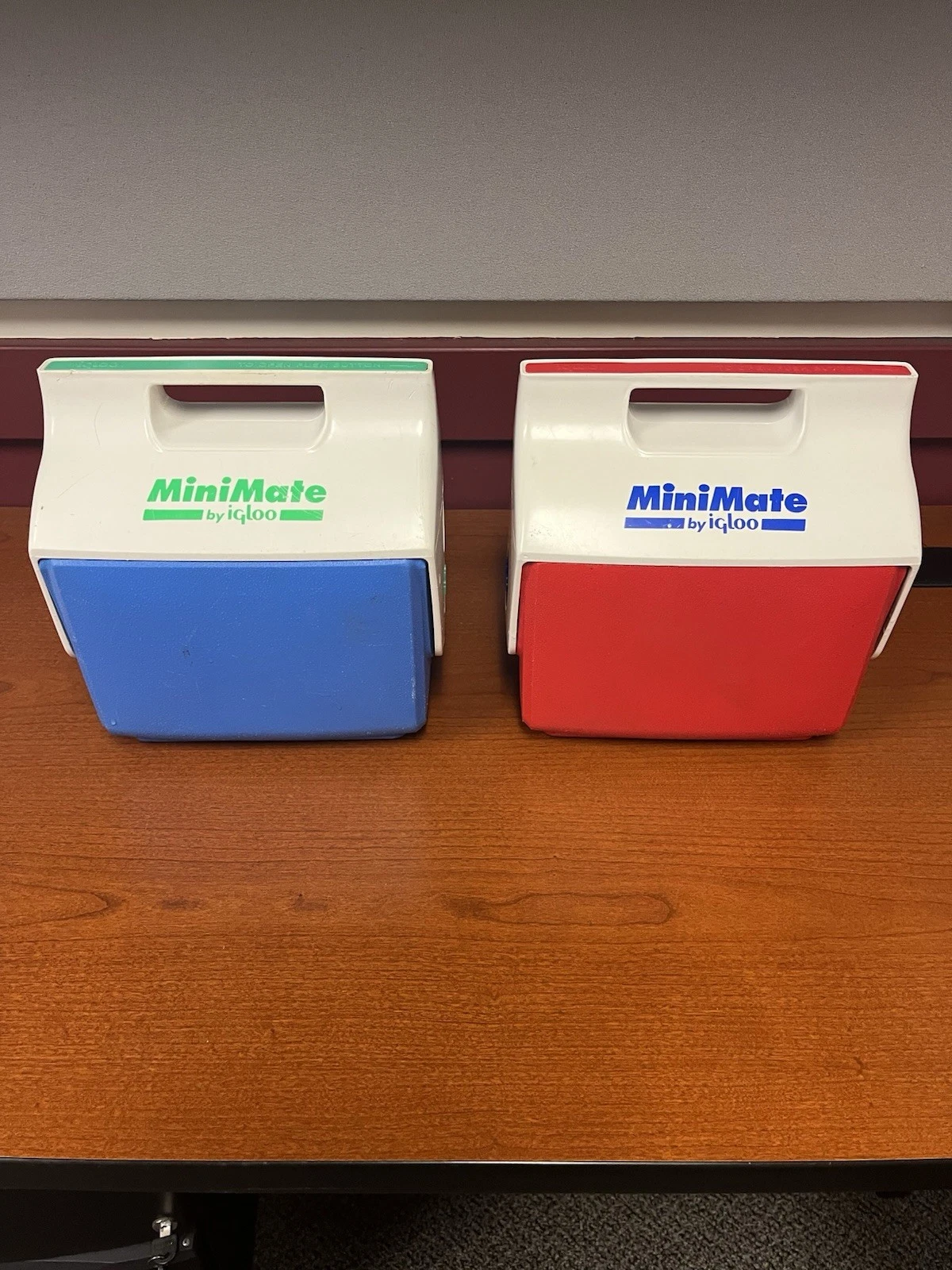 Igloo Mini Mate Cooler/Lunchbox.