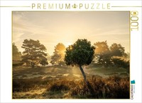 Calvendo Puzzle Sunrise In The Westruper Heide | 1000 Pieces, Finished Size 25.2