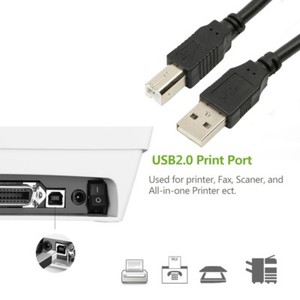 2.5M USB 2.0 tipo A a Tipo B Impresora Escáner Cable Lead Para Pc Hp Epson  hermano | eBay