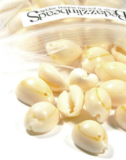 6 Natural Cowrie Cowry Seashell Sea Shell Beach Beads Drop Charms With One Hole