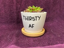 Image of Ceramic Succulent Planter Pots Small Set of Two with Drainage Hole & Bamboo Disk