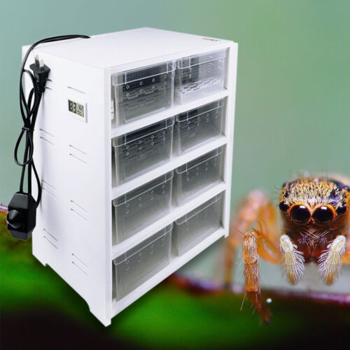 8-Grid Acrylic Pet Breeding Box Reptile Enclosure Lizard Spider Snake Tortoise