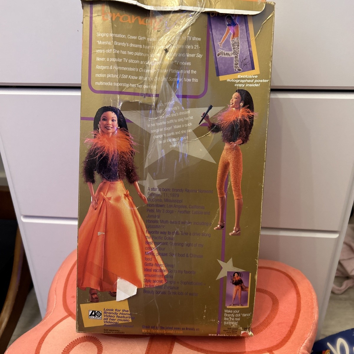 Vintage 1999 Barbie Mattel Singer Brandy Doll With Signed Poster