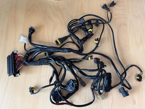 Ducati 998 998S FE 998R Wire Wiring Harness Part# 51012091A OEM Genuine Original