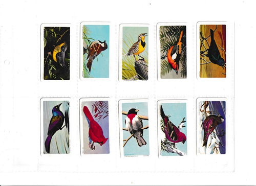 Full Set of 48 Brooke Bond Canadian/American Songbirds cards. - Picture 8 of 11