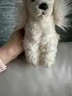 Foto 2 di 11