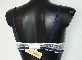 New Bra Corbeille + Lise Charmel Fragrance Voyage + FR 85C/85D/90C