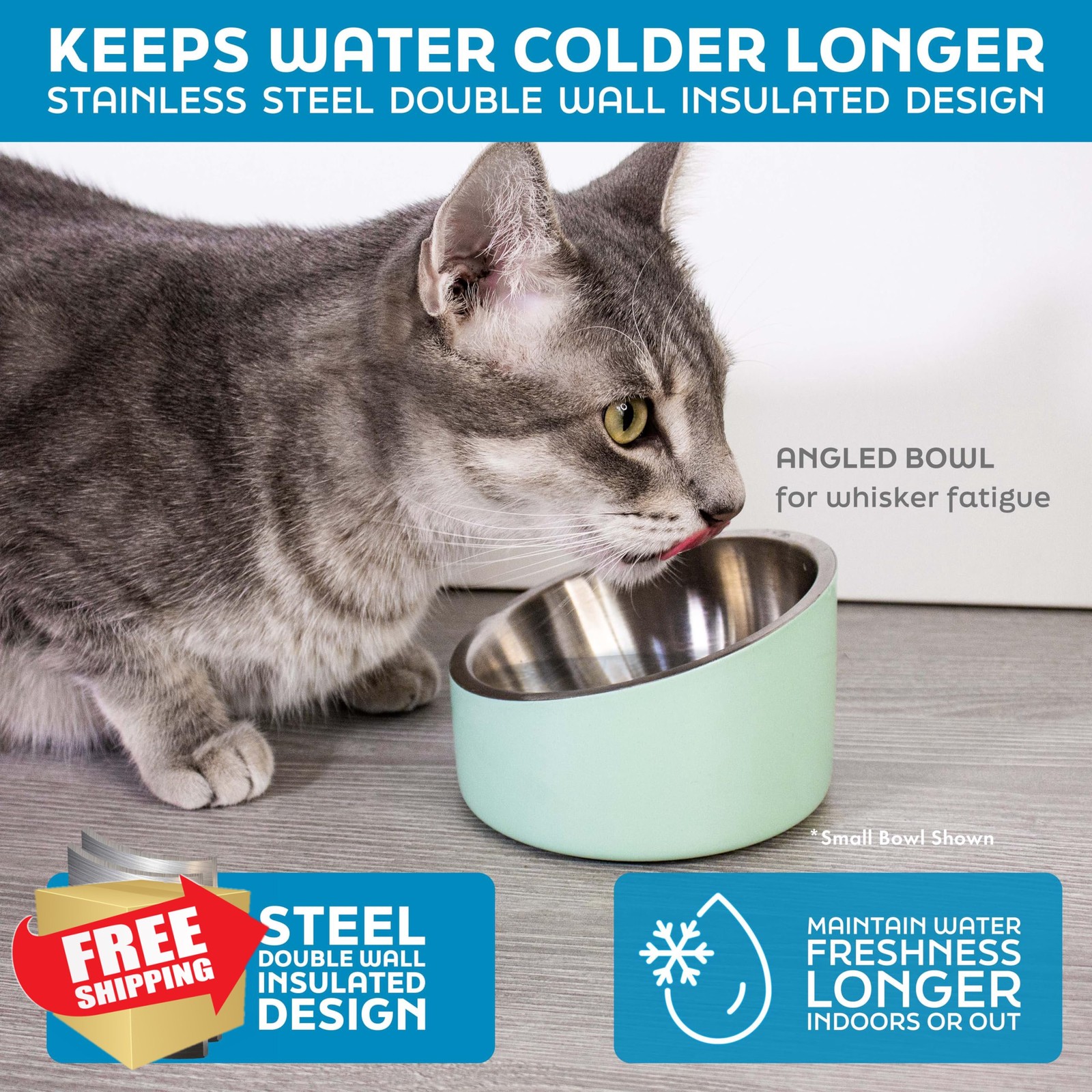 Master Pet Stainless Steel Dog Cat Bowl 16oz Insulated Non-Slip Emerald