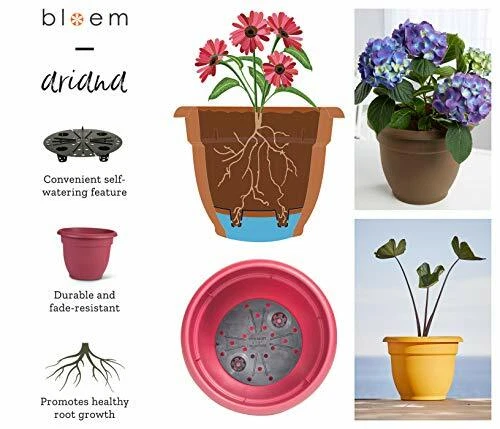 Bloem Ariana Plastic Planter w/ Self-Watering Grid, Terra Cotta Color, 16" - Imagem 4 de 4