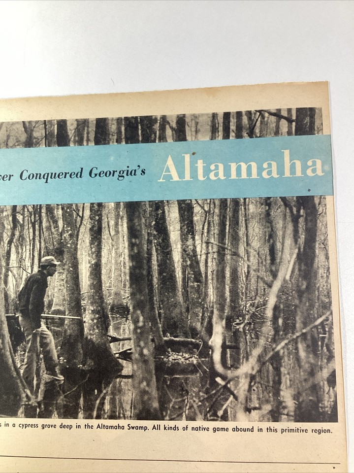 Ludowici GA Print Article 1952 Atlanta AJC Altamaha Swamp Hugh Howard