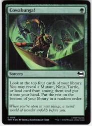 Cowabunga! 113/343 Teenage Mutant Ninja Turtles Foil