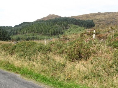 Photo A2 The southern boundary of the Windy Gap Forest Cloughmore The su c2016