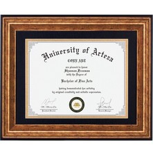 11x14 Diploma Frame with Mat 8.5 x 11 or without Mat 11 x 14 , College Deg...