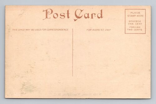 Washington DC-White House, Antique, Vintage Souvenir Postcard - Bild 2 von 2