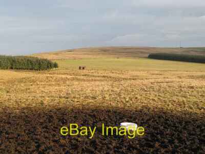 Photo 6x4 Salt lick Polwarth Mineral supplements for cattle. Old railway  c2007