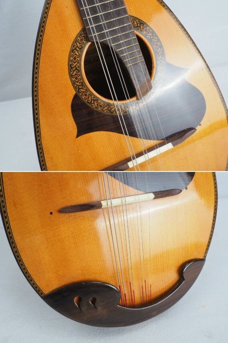 Suzuki M-215 Wooden Mandolin Hard Case | eBay