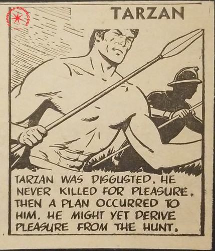 Tira cómica diaria Tarzán 1950 jungla león persecución caza presa humana supervivencia caza - Imagen 4 de 5